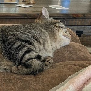 Meet your Posher, Aubrey